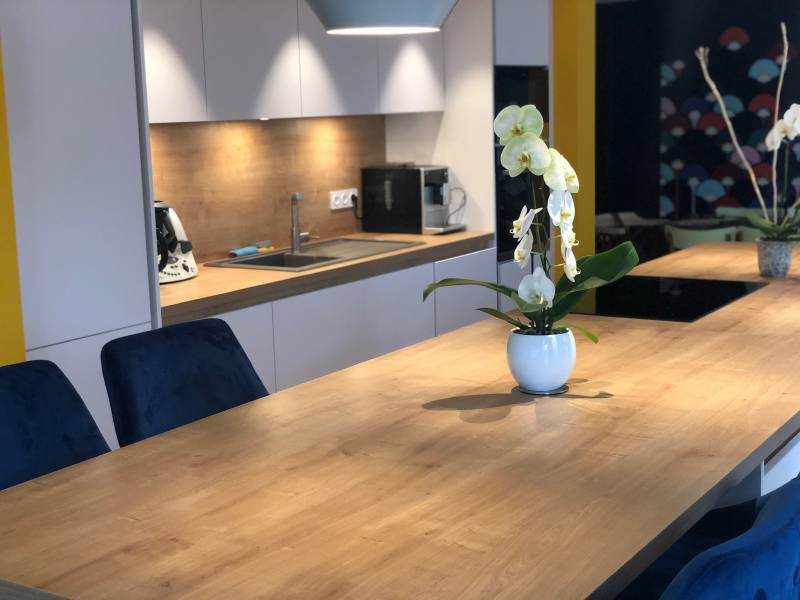 cuisine fenix charbonnières les bains