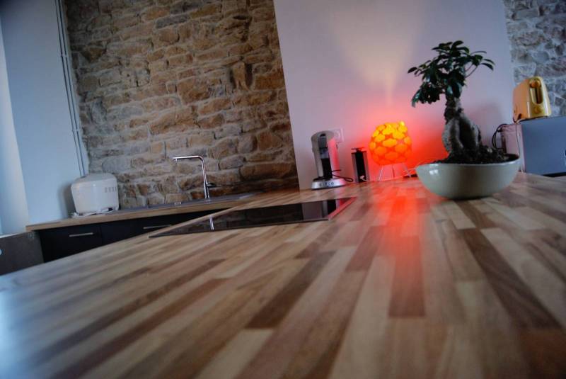 plan de travail stratifie croix rousse