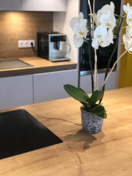 cuisine ilot vaulx en velin