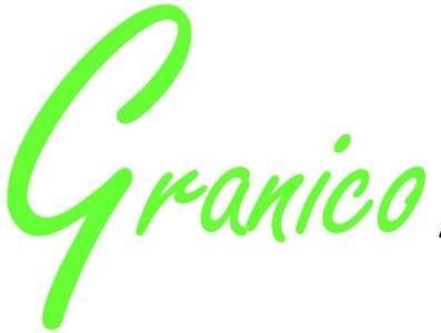 Plan de travail Pierre Lyon GRANICO